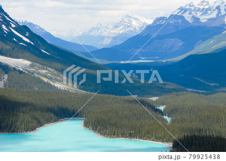 春のカナディアン・ロッキー　バンフ国立公園　ペイトー湖（カナダ） 79925438