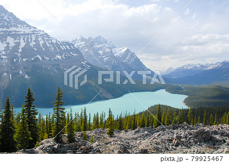 春のカナディアン・ロッキー バンフ国立公園 ペイトー湖(カナダ) 春のカナディアン・ロッキー バンフ国立公園 ペイトー湖(カナダ) 79925467