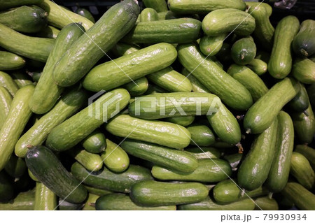 キュウリ 野菜 緑 79930934