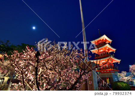 須磨の天神さま「綱敷天満宮」の梅花祭 2021年 79932374