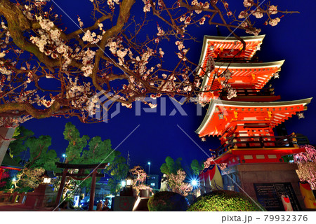 須磨の天神さま「綱敷天満宮」の梅花祭 2021年 79932376