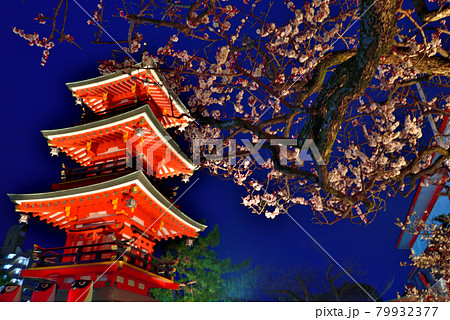 須磨の天神さま「綱敷天満宮」の梅花祭 2021年 79932377