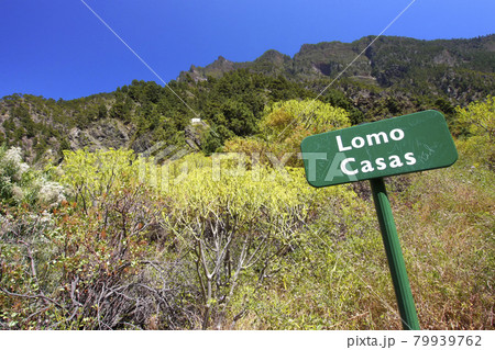 Lomo Casas. Barranco de las Angustias, Caldera de Taburiente National Park, Canary Islands, Spain 79939762