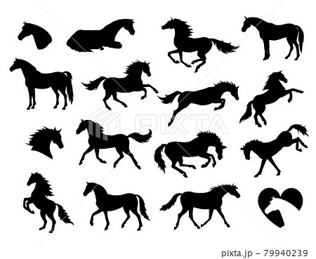 Vector set bundle of hand drawn horse silhouette 79940239