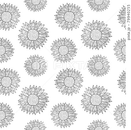 Vector seamless pattern of hand drawn sunflower 79940255