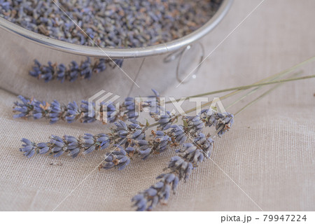 収穫したばかりのラベンダーポプリ、ほぐしたドライラベンダー、ポプリ、 79947224