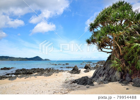 奄美大島 笠利町喜瀬 爽やかな海の景色 奄美大島 笠利町喜瀬 爽やかな海の景色 79954488