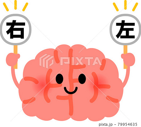 右、左の札を持った脳のキャラクター、右脳と左脳 79954635