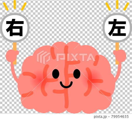 帶有左右標籤的大腦字符，左右腦 79954635