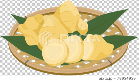 スライスされた生姜のかご盛りのイラストのイラスト素材