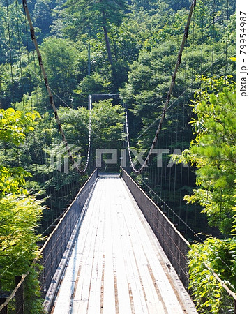 鷹ノ巣の吊り橋【新潟県関川村】 鷹ノ巣の吊り橋【新潟県関川村】 79954987