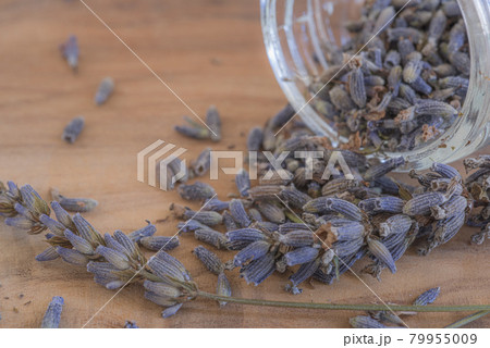 収穫したばかりのラベンダーポプリ、瓶に入れたドライラベンダー、ポプリ、 収穫したばかりのラベンダーポプリ、瓶に入れたドライラベンダー、ポプリ、 79955009