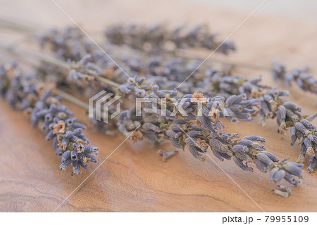 乾燥させたラベンダーポプリ、木の上に置いたドライラベンダー、ポプリ、 79955109