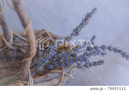 カゴに入れたラベンダーポプリ、カゴとドライラベンダー、ポプリ、 79955112