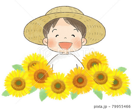 ひまわりと麦わら帽子の男の子のイラスト素材 [79955466] - PIXTA