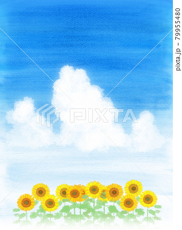 ひまわり畑と入道雲の青空背景のイラスト素材