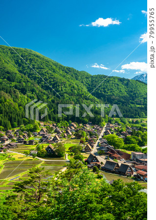 《岐阜県》白川郷全景・初夏 79955765