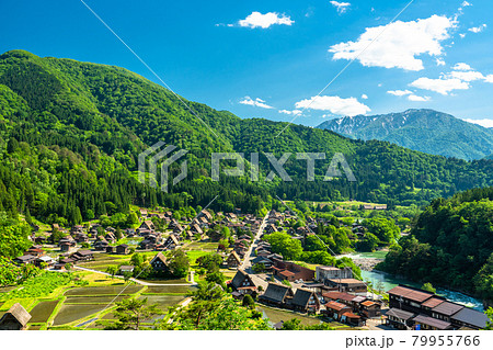 《岐阜県》白川郷全景・初夏 《岐阜県》白川郷全景・初夏 79955766