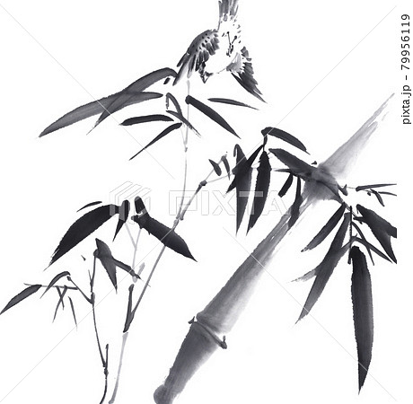 竹林を飛び回る雀 墨絵イラストのイラスト素材