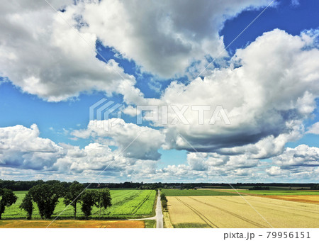 Fields, meadows, trees and a country lane in the lowlands of northern Germany under a white blue cloudy sky, aerial view Fields, meadows, trees and a country lane in the lowlands of northern Germany under a white blue cloudy sky, aerial view 79956151
