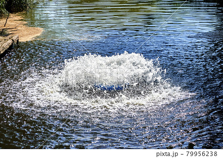 aeration system in a lake, which should increase the oxygen content of the water aeration system in a lake, which should increase the oxygen content of the water 79956238