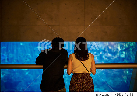 水族館デートで魚や生き物を観覧する若いカップル 水族館デートで魚や生き物を観覧する若いカップル 79957243
