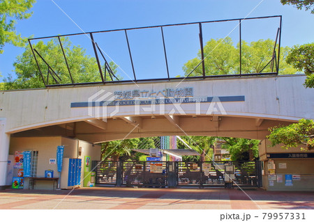 【愛媛県】 愛媛県立とべ動物園 【愛媛県】 愛媛県立とべ動物園 79957331
