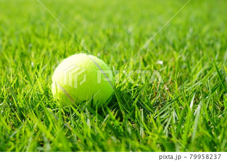 芝生とテニスボール 79958237