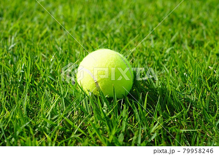 芝生とテニスボール 79958246