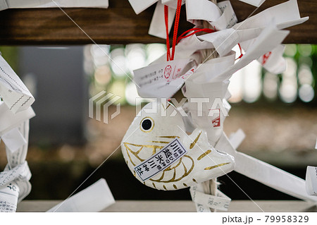 おみくじ 79958329