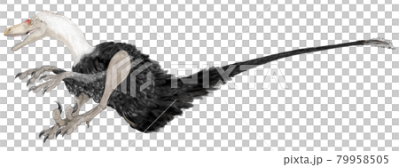 恐爪龍的後腿上有大爪子,這意味著白堊紀早期的一種小型食肉恐龍“可怕的爪子” 恐爪龍的後腿上有大爪子,這意味著白堊紀早期的一種小型食肉恐龍“可怕的爪子” 79958505