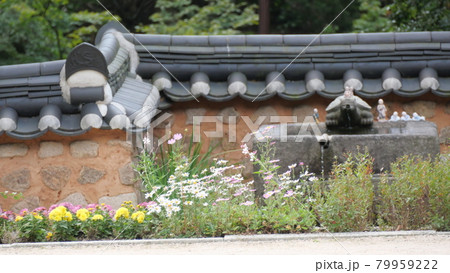 秋 寺院 蓮 79959222