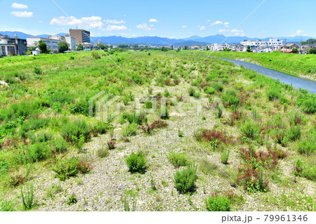 萩原橋／浅川より上流方面を望む(東京都八王子市)【2021.7】 79961346