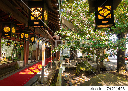 川越氷川神社　釣灯籠 79961668