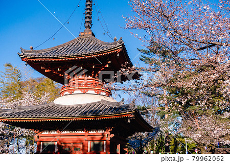 川越大師 喜多院 多宝塔 埼玉県川越市 川越大師 喜多院 多宝塔 埼玉県川越市 79962062