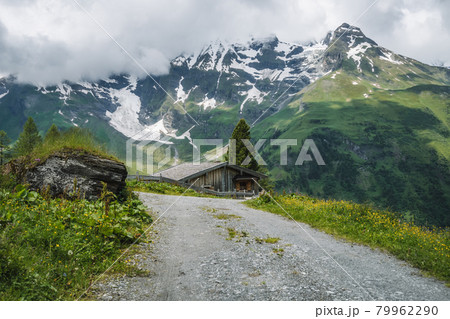 Beautiful idyllic nature green meadow of Alps mountains range covered with snow on summer day. Austria aerial view 79962290