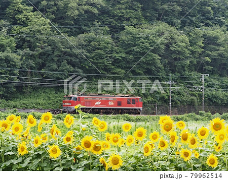 山陽本線相生ー有年間を走るレッドサンダー 79962514
