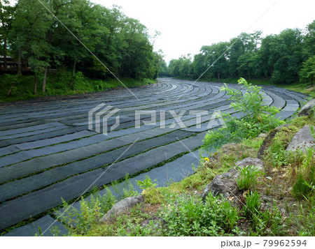 安曇野 大王わさび農場 安曇野 大王わさび農場 79962594