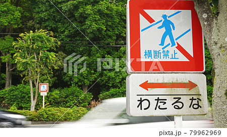 日本の道路交通標識＜07＞(歩行者横断禁止） 79962969