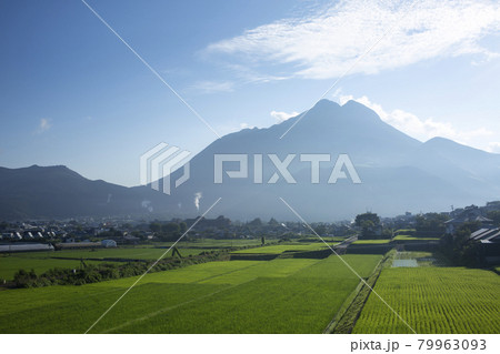 由布岳と湯布院の朝 由布岳と湯布院の朝 79963093