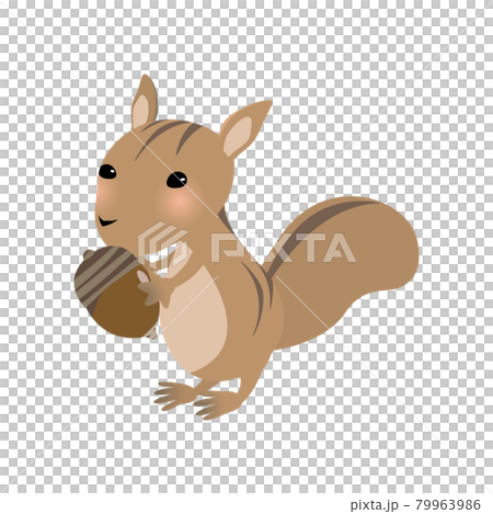 どんぐりを持ったシマリス・秋のカットイラスト 79963986