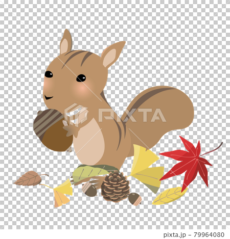 どんぐりを食べるリスと秋の落ち葉のイラスト素材 [79964080] - PIXTA