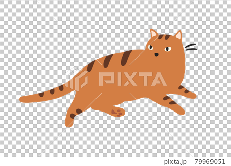 一隻放鬆的貓虎斑貓的插圖 79969051