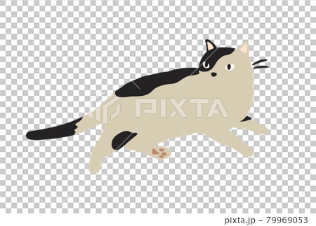 一隻放鬆的貓-斑紋貓的插圖 79969053