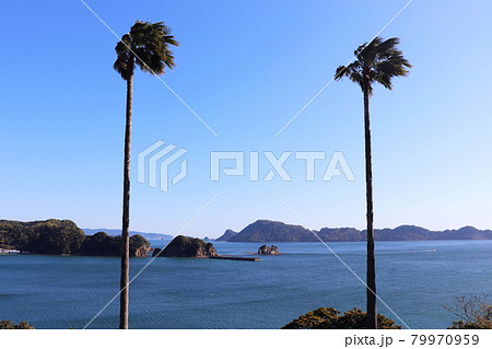 南郷の丘から見る日南海岸の風景 79970959