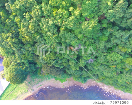 湖岸の風景〜ドローンで空撮(猪苗代湖・西岸/福島県会津若松市湊町大字赤井字屋敷) 湖岸の風景〜ドローンで空撮(猪苗代湖・西岸/福島県会津若松市湊町大字赤井字屋敷) 79971096