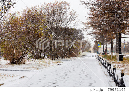 Snowy sidewalk and street during snowfall 79971145