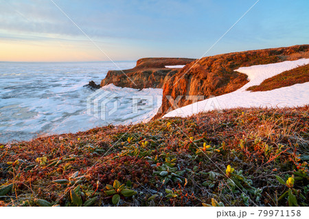 Scenic Arctic landscape 79971158