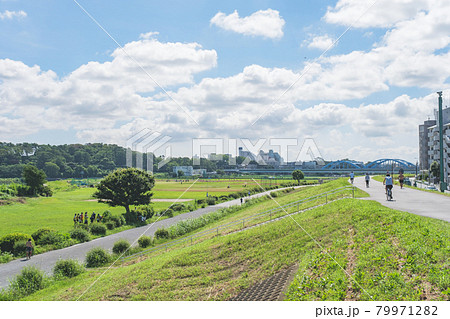 新緑の多摩川緑地　多摩川を隔てて望む多摩川台公園方面の眺望 79971282