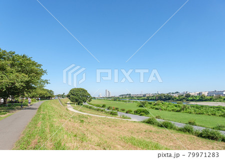 新緑の多摩川緑地 等々力側から多摩川を隔てて望む田園調布の街並み 新緑の多摩川緑地 等々力側から多摩川を隔てて望む田園調布の街並み 79971283
